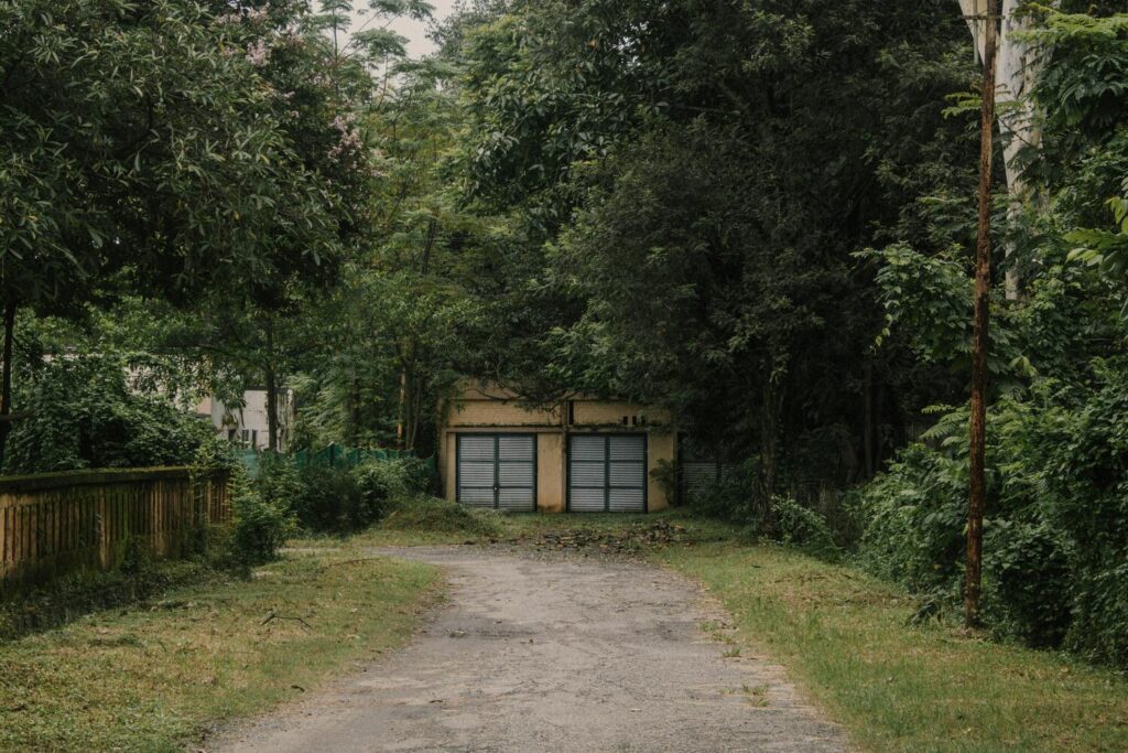 Is Rubber a better alternative to concrete? Here’s the Truth.
